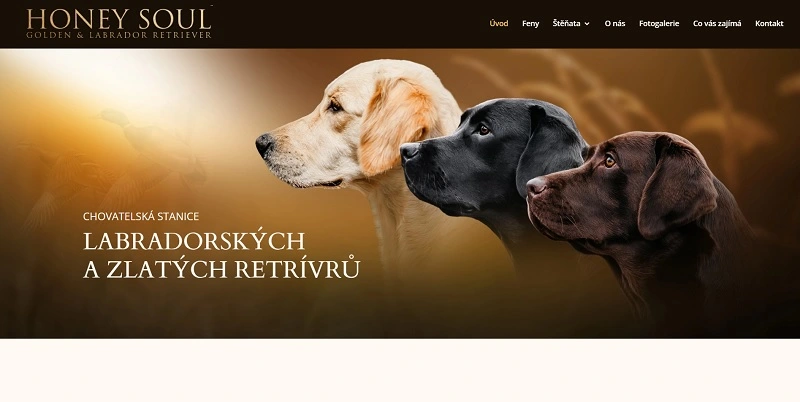 Honey Soul nový web